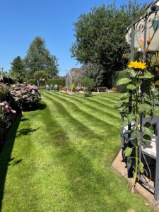 Simon Garden1