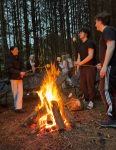 People stand around a campfire in a forest, toasting marshmallows on sticks. There are chairs and trees in the background, and the fire is bright with visible flames and sparks.