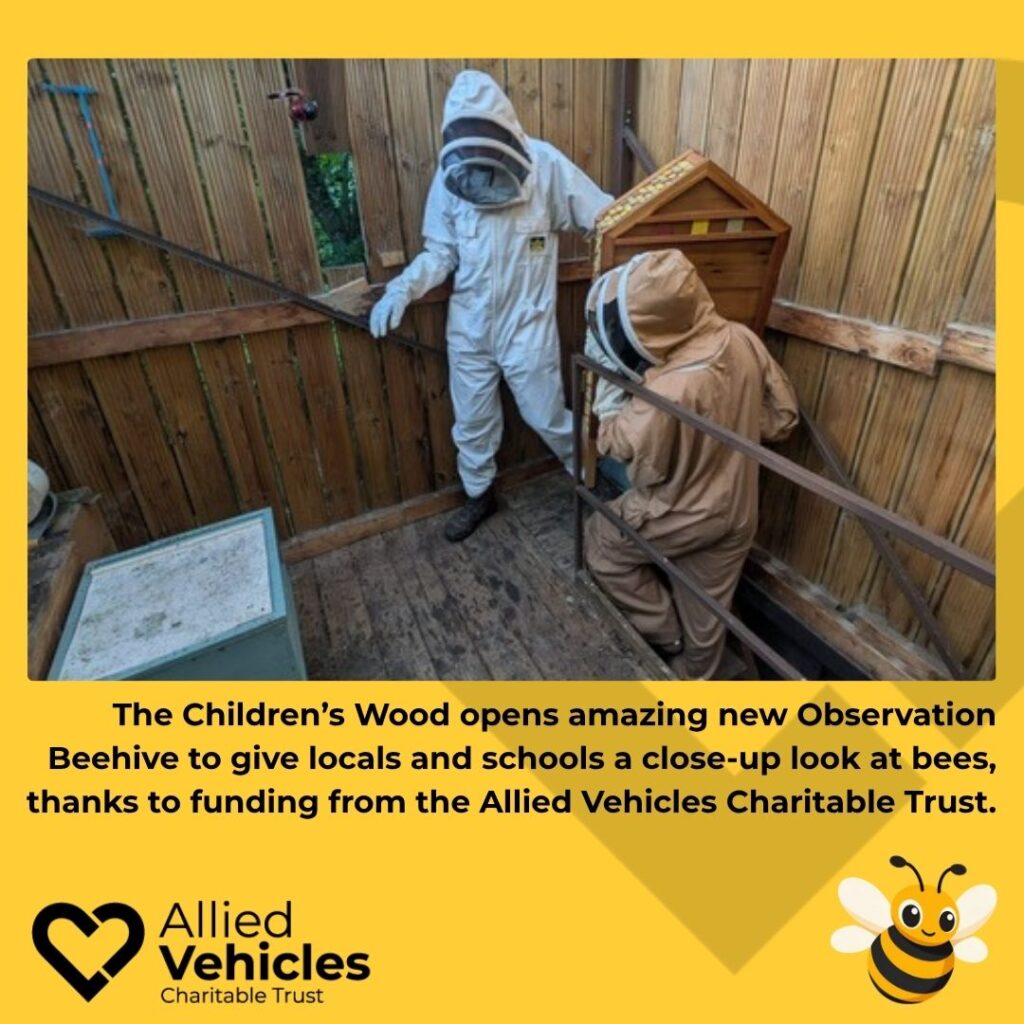 Glasgow kids buzzing to get closer to nature thanks to Observation Beehive